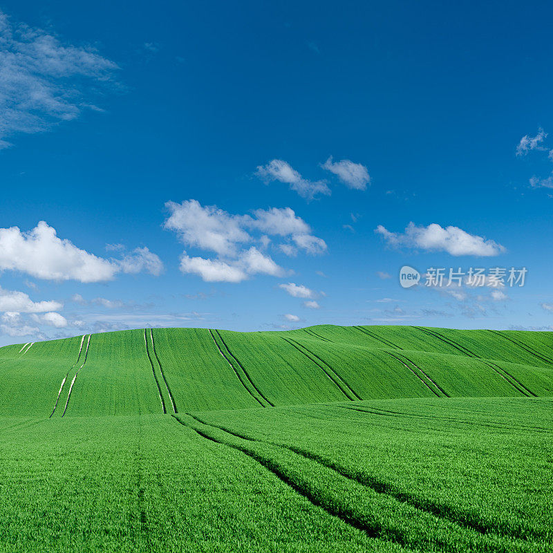 广场春天景观61MPix XXXXL草地，蓝天